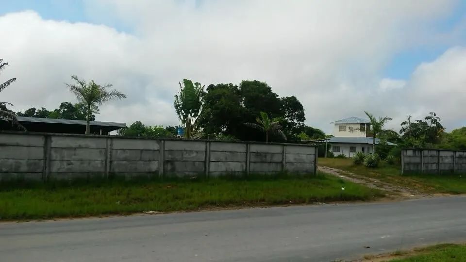//Alugo Terreno com Galpão na BR 174 - Foto 2