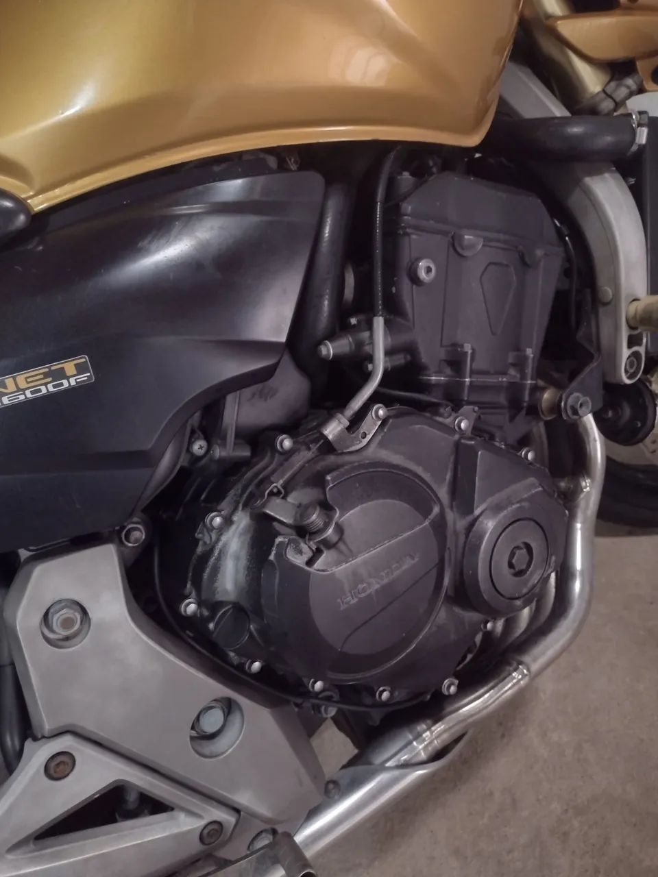Hornet 600f - Foto 4