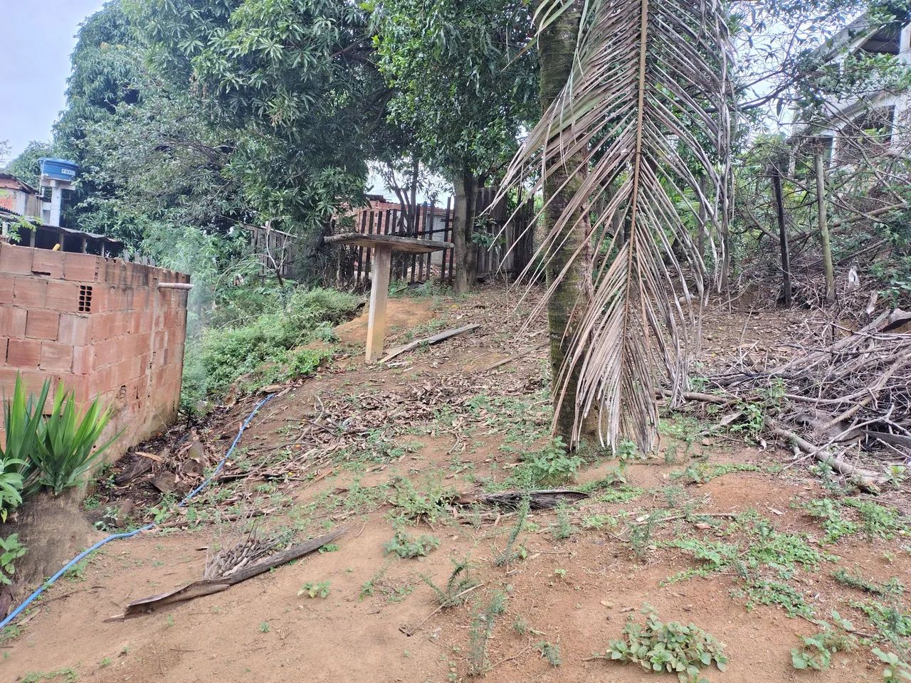 Vendo lote em nova Bethânia 135 mt2 - Foto 3