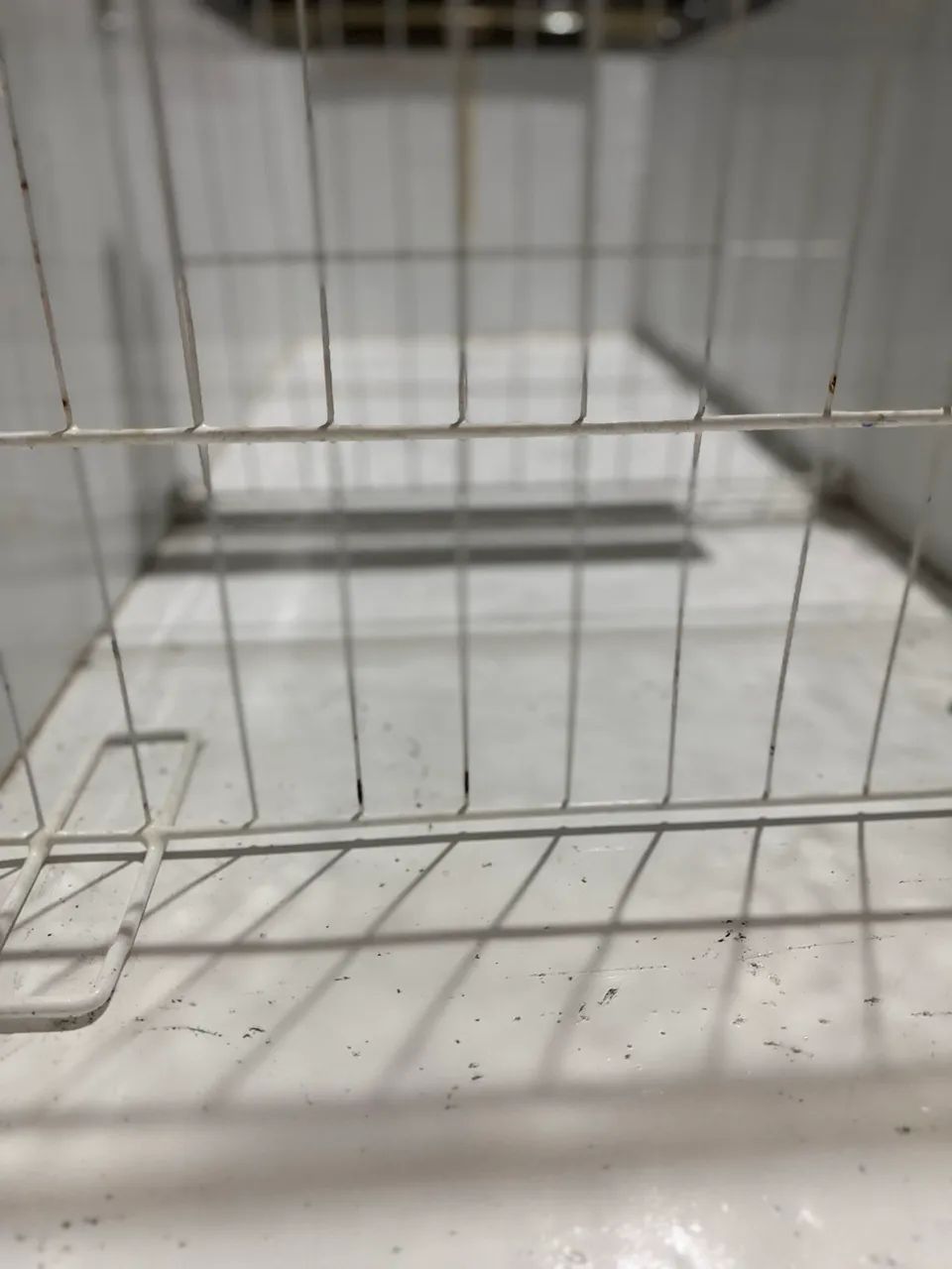 Ilha freezer  - Foto 4