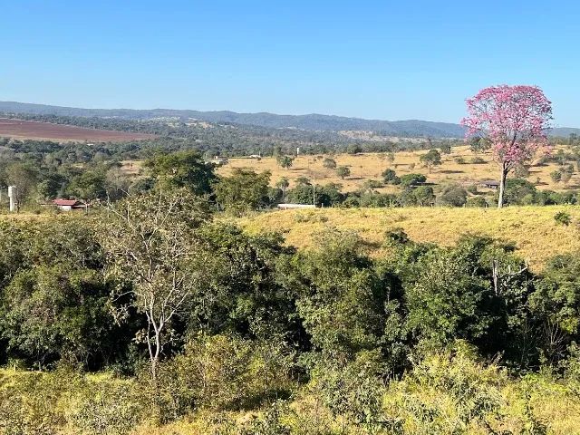 Chácaras 1.500m², R$60mil, Parcelado, Linda Vista, Energia, Cercada, Aragoiânia - Foto 8