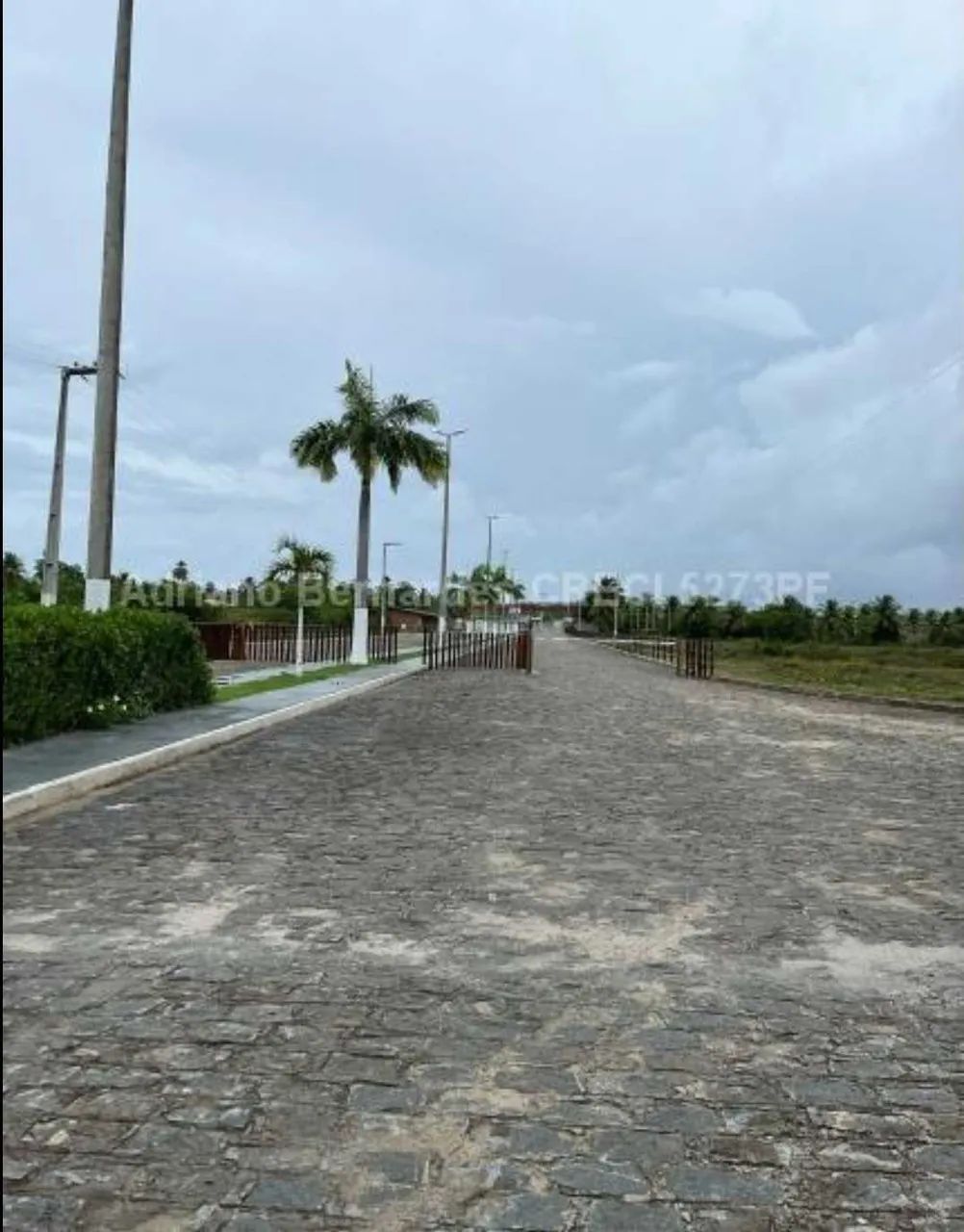 Lote / Terreno Merídiem Praia Mar (ref: 1239) [9711] - Foto 4