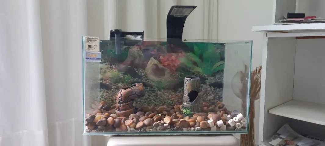 Aquário 45 x 25 x 21