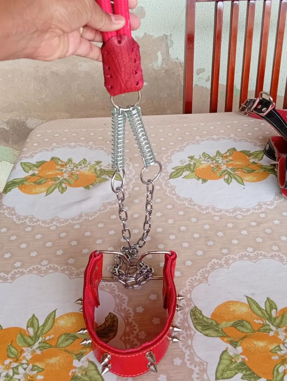 COLEIRA PARA CACHORRO  - Foto 3