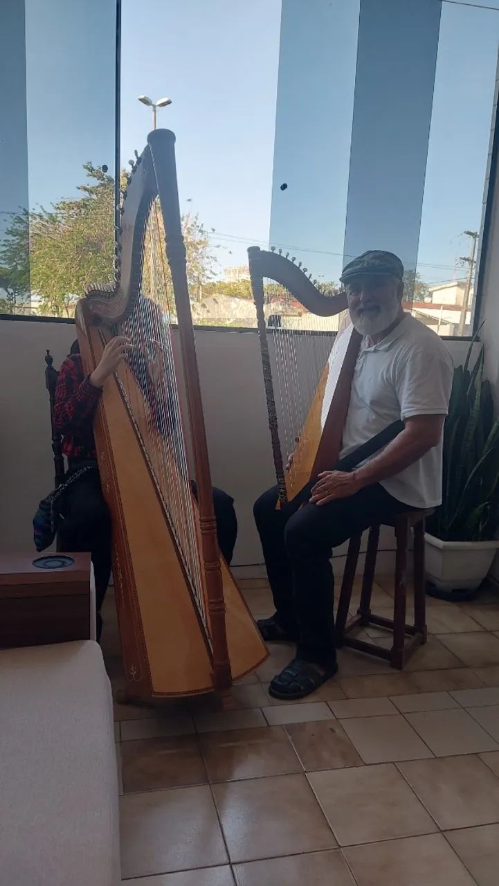 Harpa a venda - Foto 3