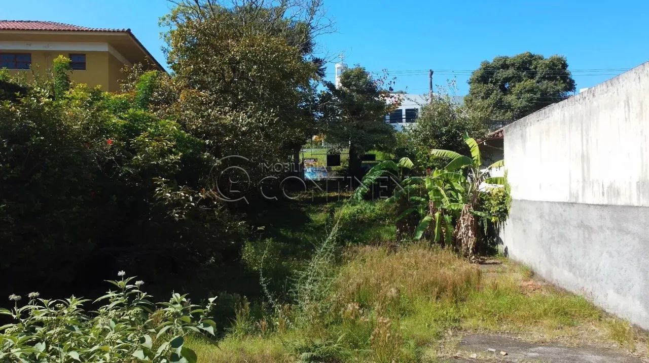 TERRENO - 444m² - BOM ABRIGO - PRÓXIMO A VIA GASTRÔNOMICA DE COQUEIROS - FLORIANÓPOLIS - Foto 5