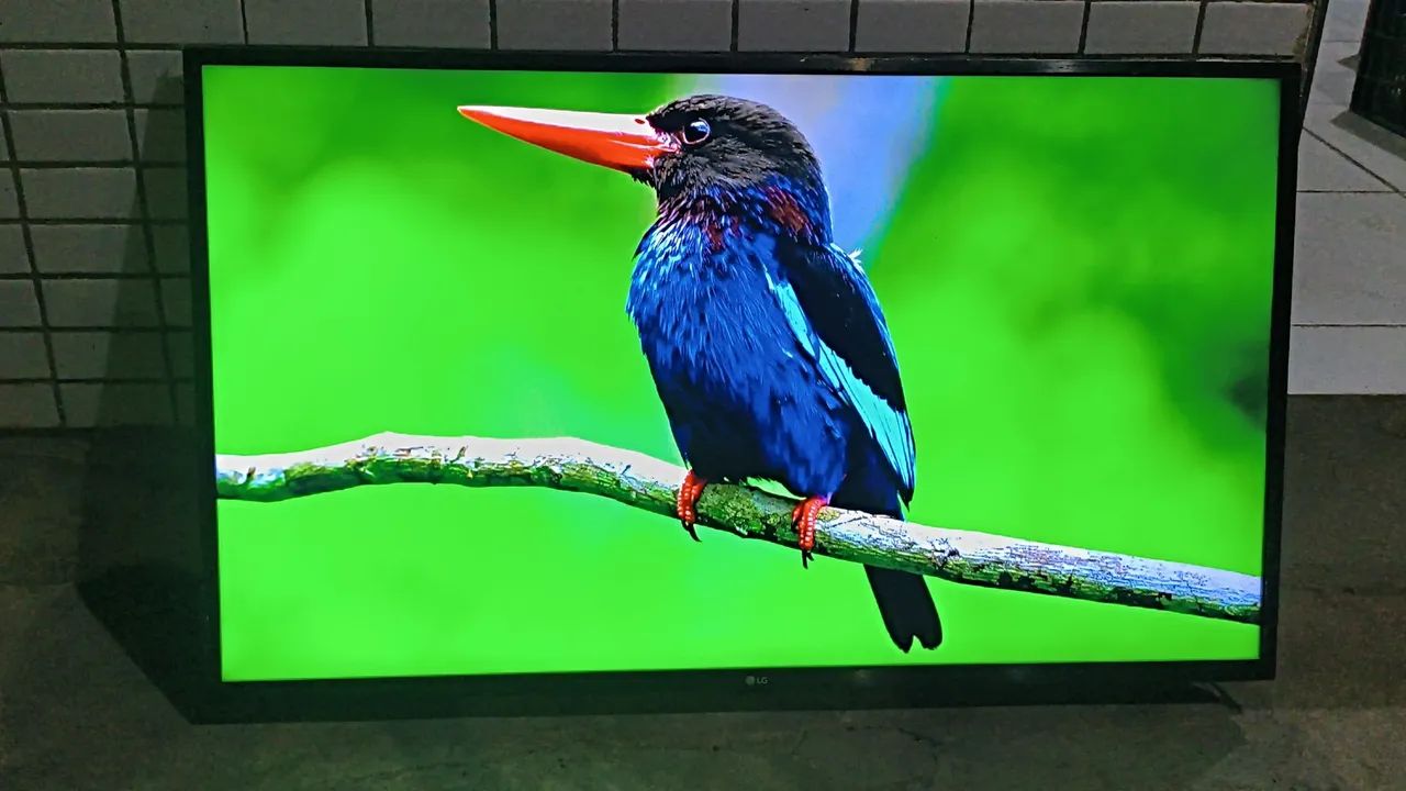 Tv Smart LG 43 Polegadas 4k Ultra HD Completa Top de Verdade! - Foto 2