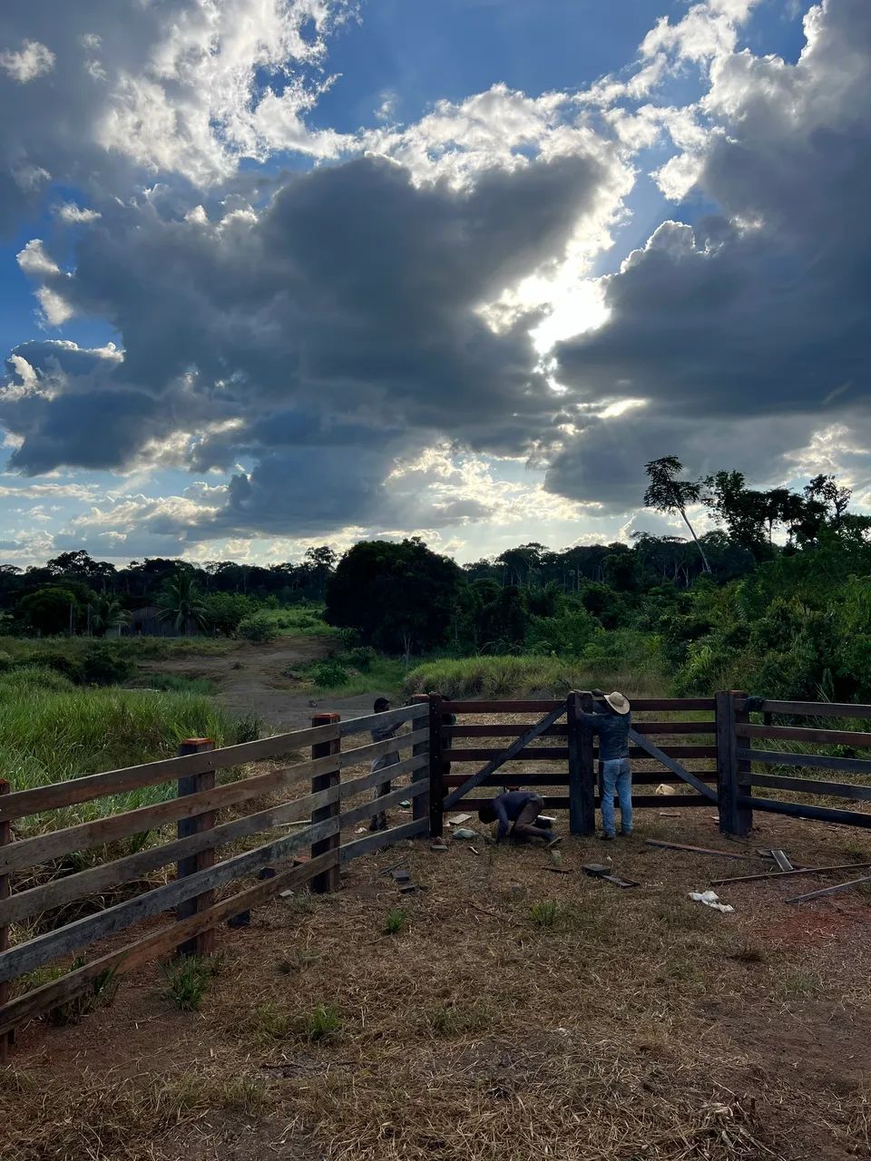 Fazenda top de 340 hectares  - Foto 4