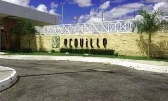 Lote Ecoville 