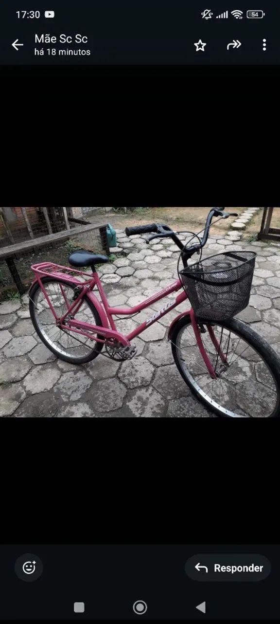 Bicicleta 