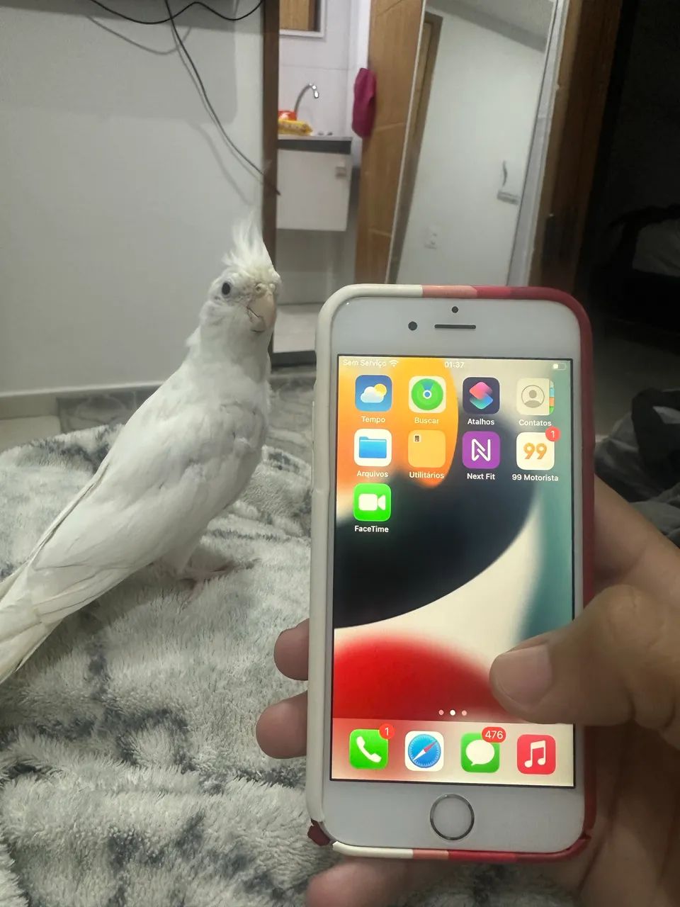 iPhone 6s - Foto 2