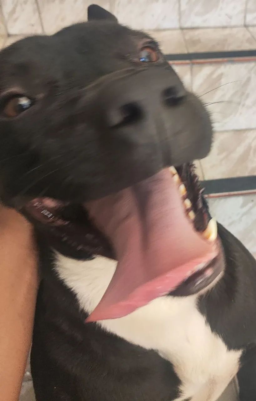 doação - Foto 3