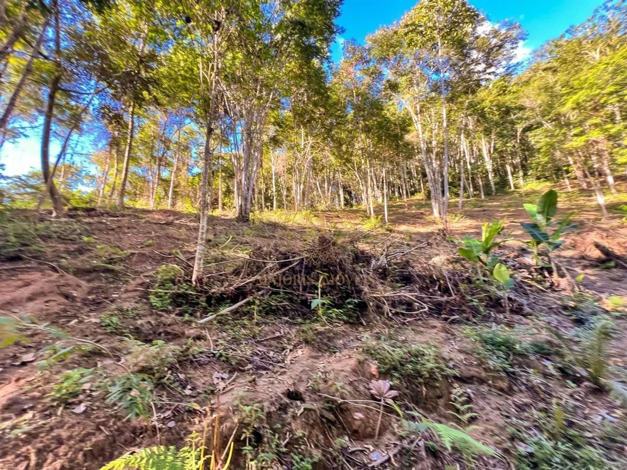 Terreno com cascata, nascente e lago de 20 mil metros em Domingos Martins - Foto 5