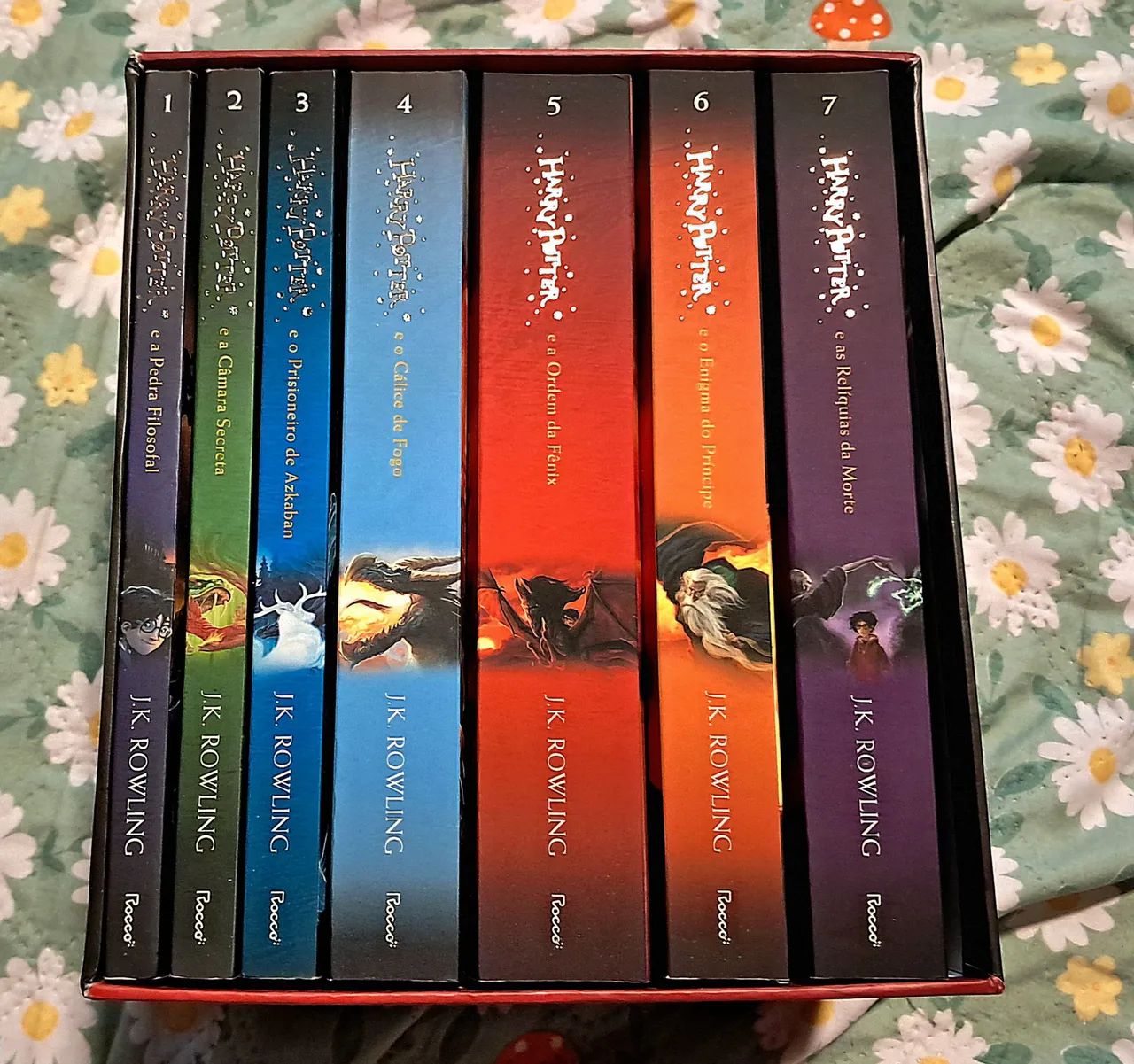 Box de Harry Potter 