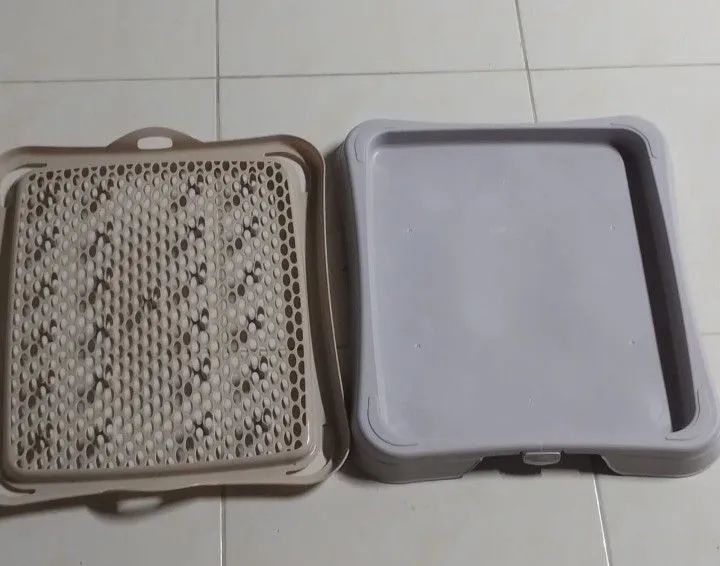 TAPETE HIGIÊNICO PARA PETS 430187359670773761