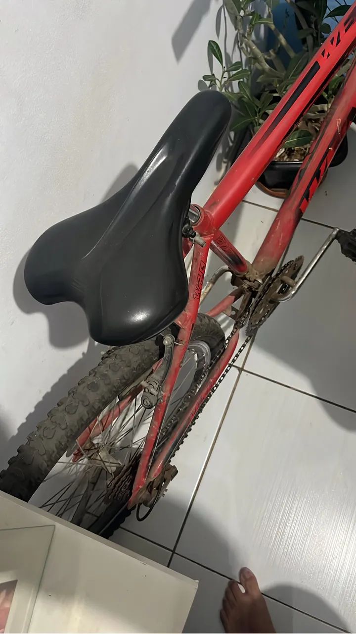 Bicicleta  - Foto 5