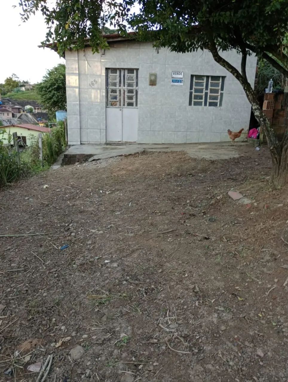 Foto - Recife - Nova Descoberta