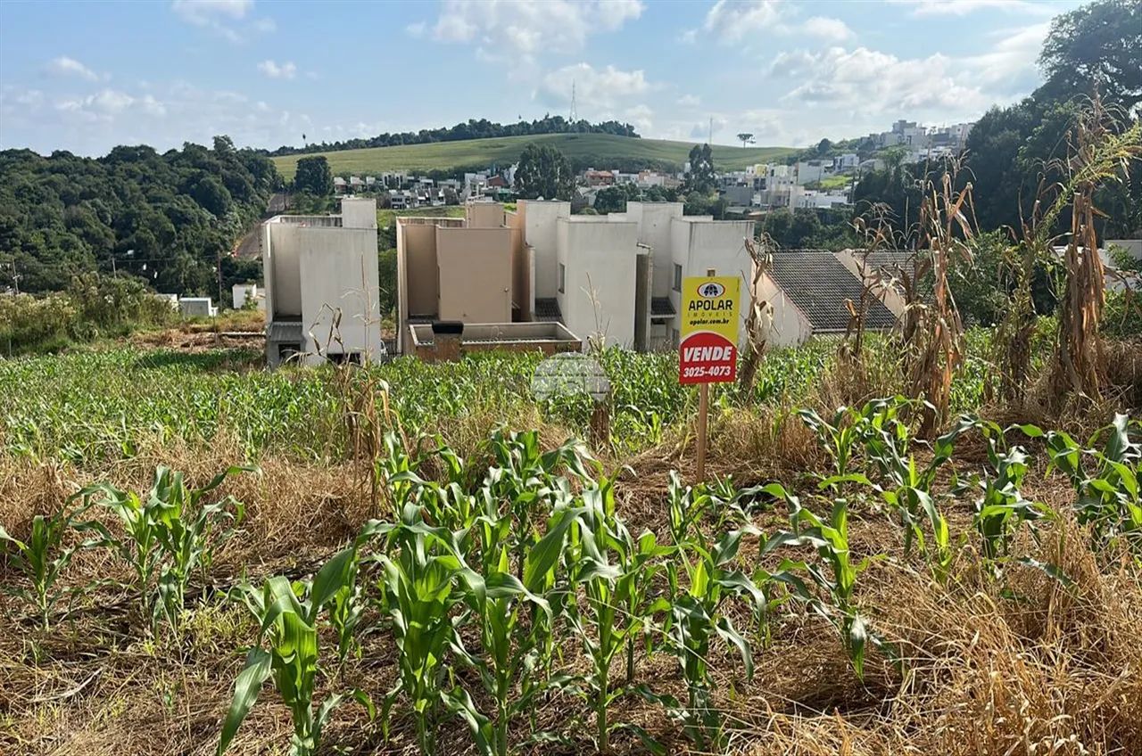 Vendas Terreno Pato Branco PR