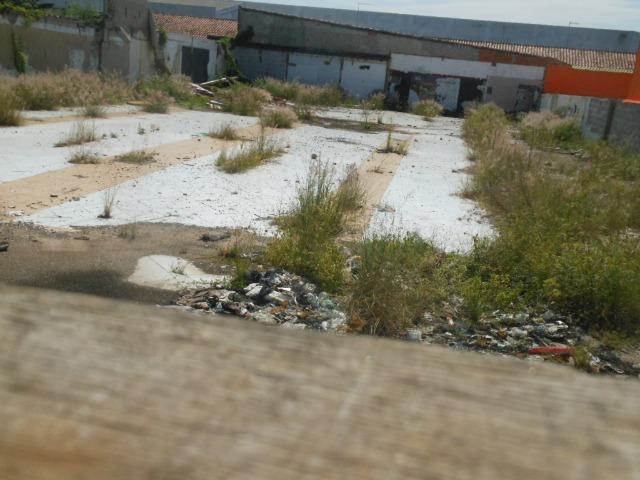 (Genival) Alugo Terreno 1000 m² + Construção - Plano em Avenida Comercial - Foto 4