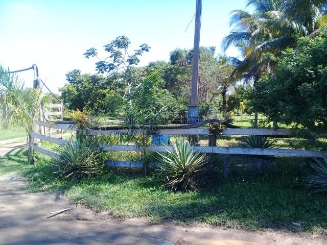 L- 1 de Janeiro!! - Foto 5