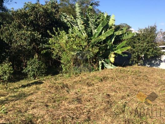 Terreno à venda em Centro, Colombo cod:300-17 - Foto 9
