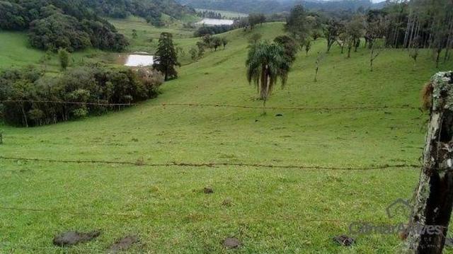 Chácara para Venda, 168.604,00 m², São Bento do Sul / SC, bairro Serra Alta - Foto 11