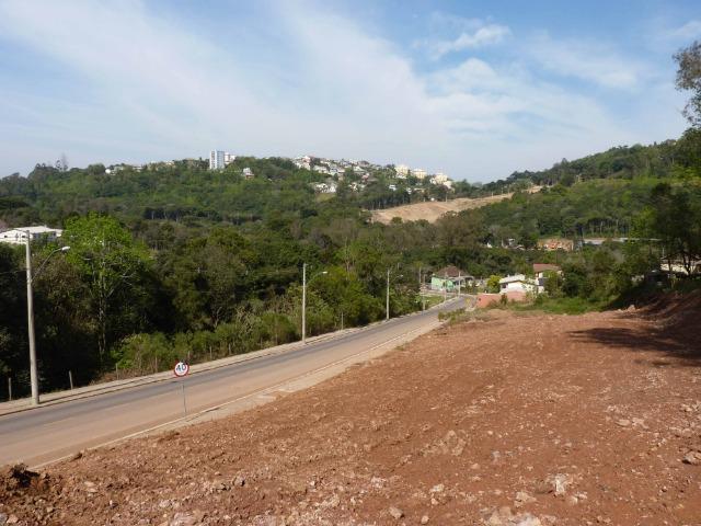 Terrenos Urbanizados - Caxias do Sul - Foto 4