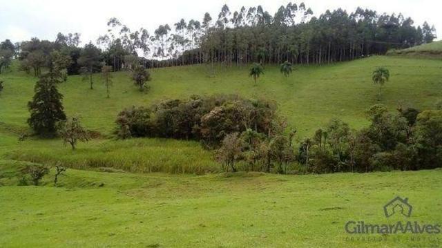 Chácara para Venda, 168.604,00 m², São Bento do Sul / SC, bairro Serra Alta - Foto 9