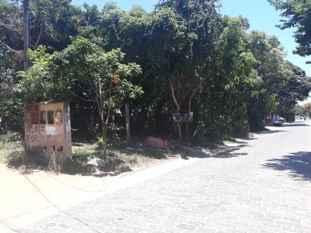 J - Lote em Tucuns - Armação dos Búzios - Foto 3