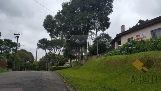Terreno à venda em Mercês, Curitiba cod:245-16 - Foto 3