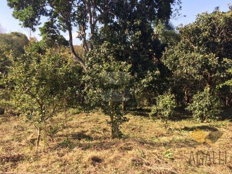 Terreno à venda em Centro, Colombo cod:300-17 - Foto 5