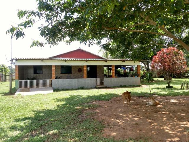Área Rural (Estrada de Boca do Acre) - Foto 15