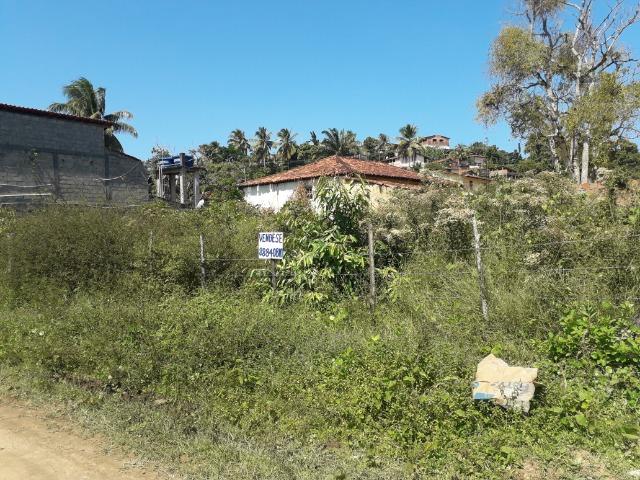 Terreno na Ilha de Amoreiras ( Ponta de Areia-Itaparica) - Foto 14