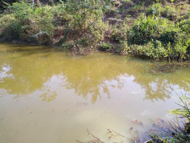 Chácara / 35 mil - Foto 2