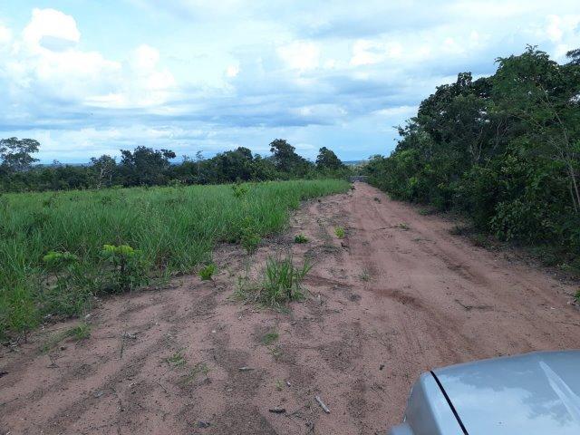Fazenda Paraiso - Foto 12