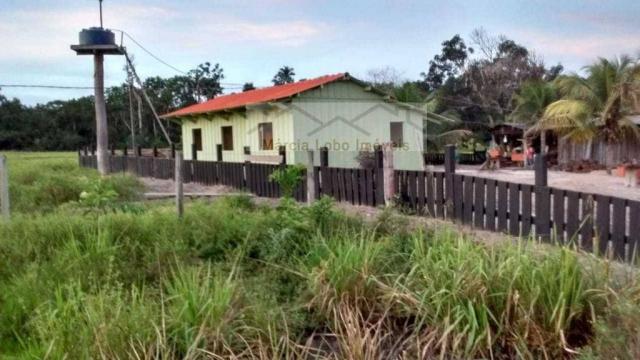 Fazenda à venda, 14520000 m² por r$ 4.500.000 - zona rural - são félix do xingu/pa