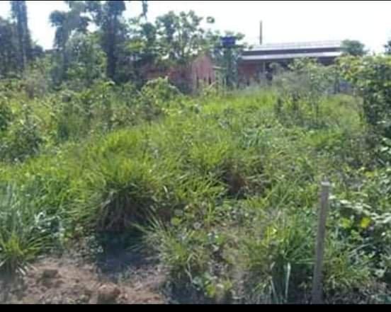Vendo terreno na vila acre aceito prospostas - Foto 2