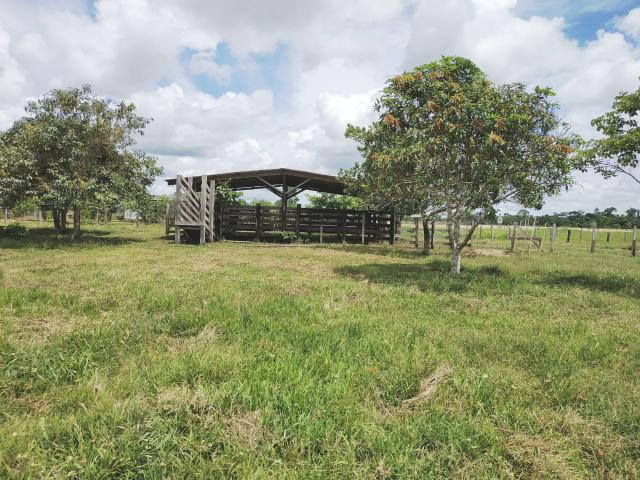 Vende-se uma colônia (Preço Negociável)