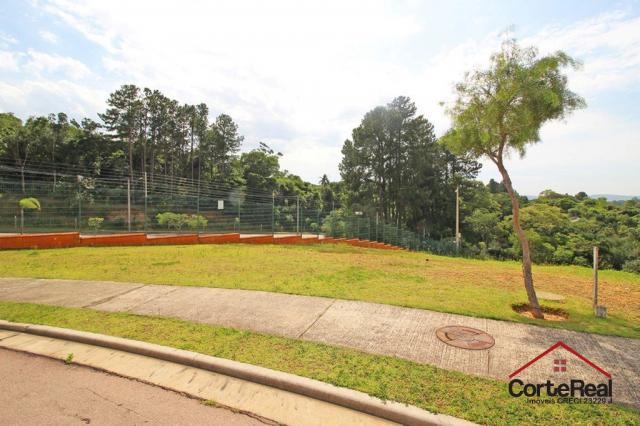 Terreno à venda em Vila nova, Porto alegre cod:6013 - Foto 8