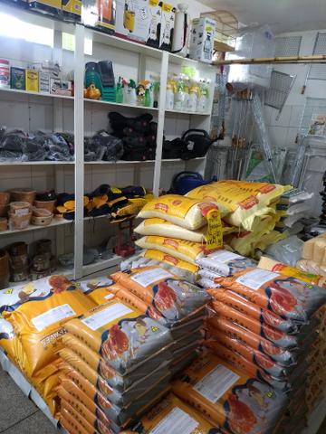Vendo agropecuária mais de 20 anos - Foto 3