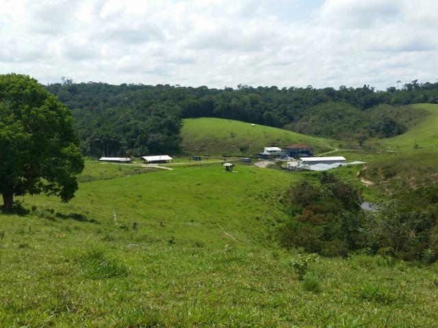 Fazenda na AM 010 - Foto 9