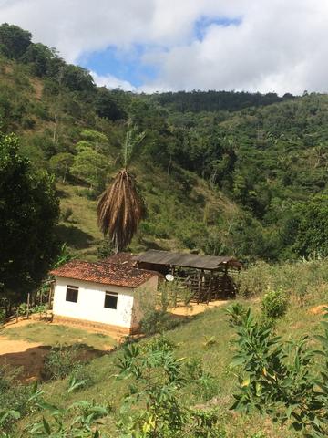 Fazenda no Vale do Jequiriçá - Foto 13