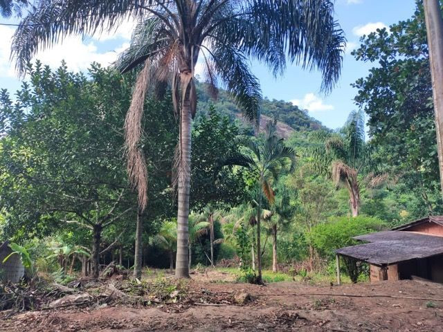 Terreno em São João do Jaboti - Espírito Santo - Foto 2
