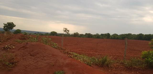 Fazenda 219 alqueires | região Caçu | boa pra lavoura plana