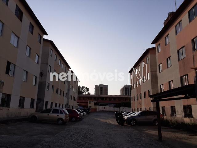 Apartamento à venda com 2 dormitórios em Serrinha, Fortaleza cod:769589 - Foto 10