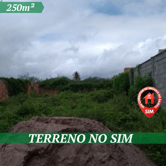 Vendo Terreno no Sim 250m² Escriturado a  600 Metros da Av. Artêmia Pires.