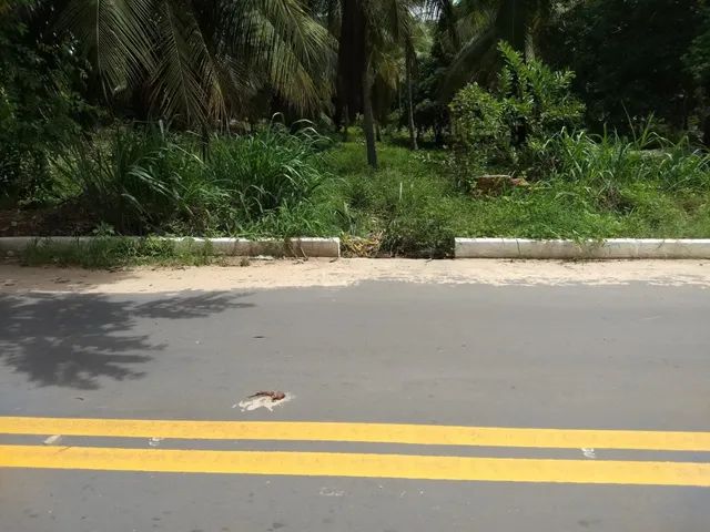Sítio no Cumbique, Raposa  - Foto 5