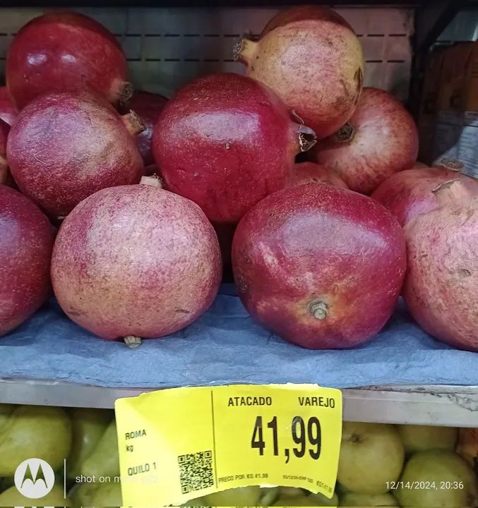 Mudas de Romãzeira ou árvore de Romã ( Roma ). - Foto 2