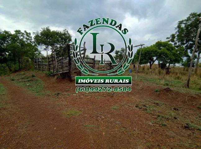 Fazenda 43 Alqueires Próximo a Palmas - Foto 4