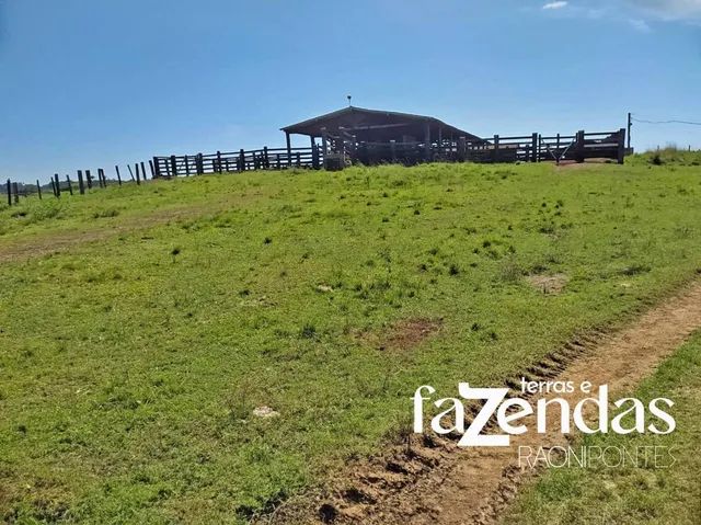 Terrenos, sítios e fazendas - Pará